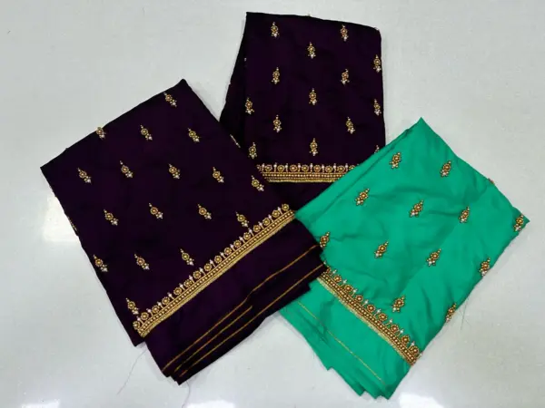 Graceful Minimal Border Work Blouse – Limited Time Offer