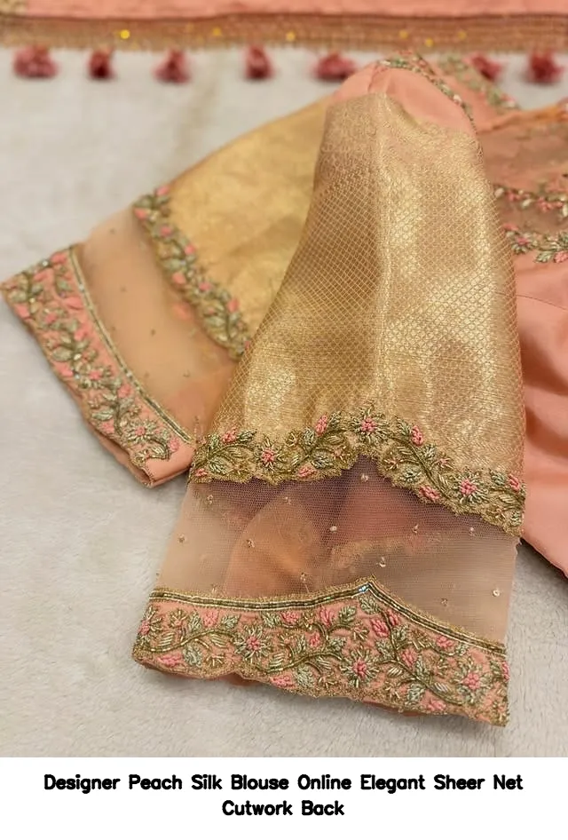 Designer Peach Silk Blouse Online – Elegant Sheer Net Cutwork Back