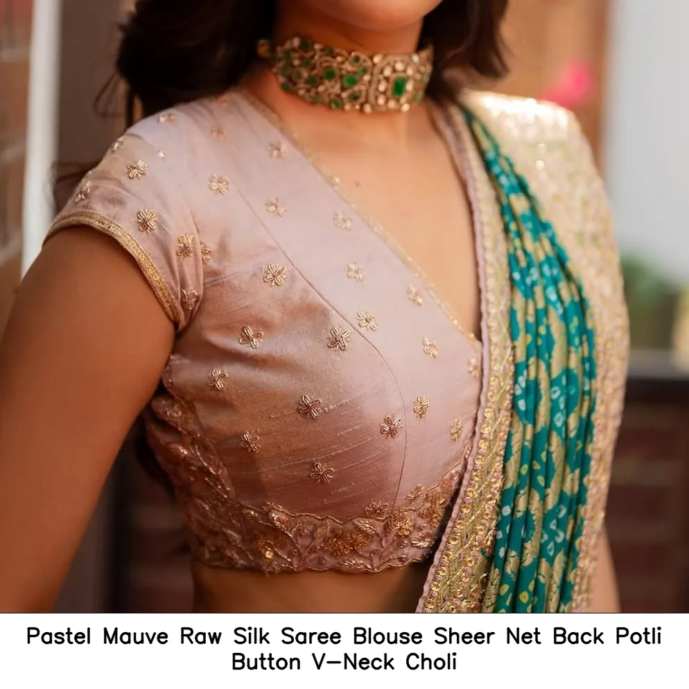 Pastel Mauve Raw Silk Saree Blouse – Sheer Net Back Potli Button V-Neck Choli 2