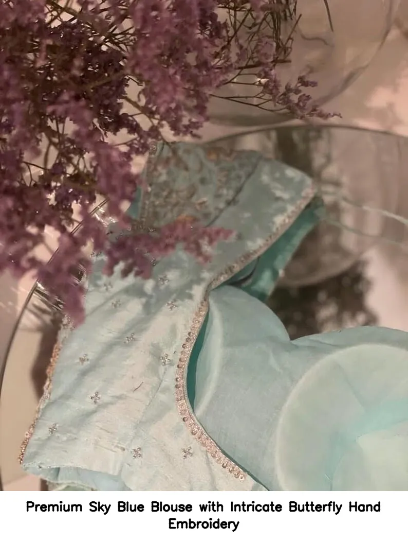 Premium Sky Blue Blouse with Intricate Butterfly Hand Embroidery 4