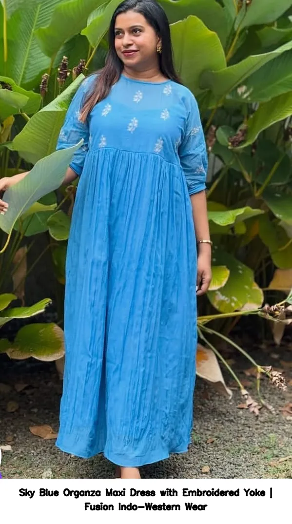 Sky Blue Organza Maxi Dress with Embroidered Yoke | Fusion Indo-Western Wear 2