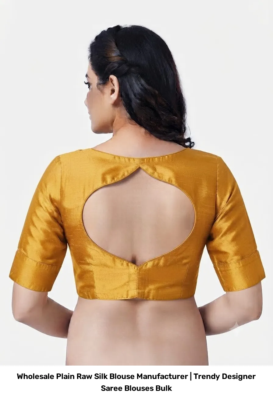 Wholesale Plain Raw Silk Blouse Manufacturer | Trendy Designer Saree Blouses Bulk 2