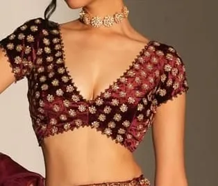 Wine Velvet Hand Embroidered V-Neck Bridal Blouse